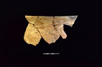 陶罐藏品圖，第1張